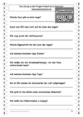 Wissenskartenfragen 54.pdf